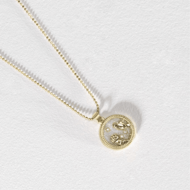 Gold/Silver Zodiac Necklaces - Bossy Plans